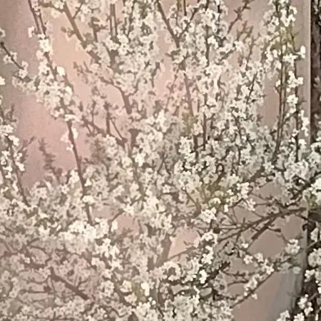 Nice + Sunny Room, Balkony, All Facilities... * Trier